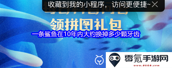 一条鲨鱼在十年的时间里大概会更换多少颗牙齿以适应其捕食生活