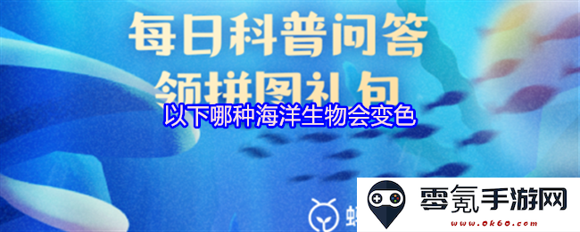 在海洋中,哪些生物可以改变自己的颜色以适应环境或传达情绪