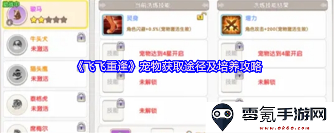 《飞飞重逢》宠物获取方法详解及全方位培养技巧攻略