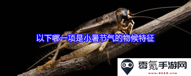 小暑节气有哪些显著的物候特征和自然现象值得我们关注