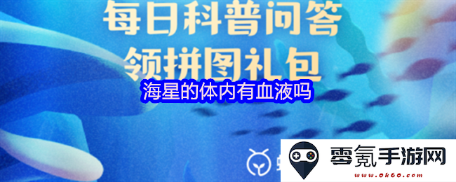 海星体内是否存在血液成分及其生理特点分析