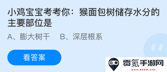 小鸡宝宝智力挑战:你知道猴面包树哪个部分是主要储存水分的地方吗?