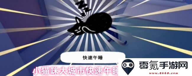 聪明小猫咪在繁忙大城市中快速入眠的最佳窍门分享