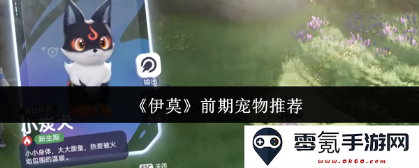 《伊莫》早期选择最佳宠物推荐,助你轻松开启游戏冒险之旅