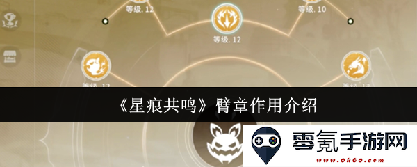 《星痕共鸣》臂章功能详细解析与运用指南