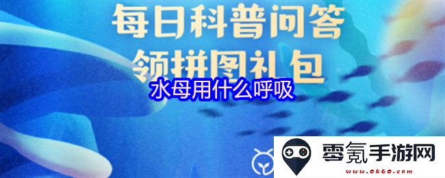 水母是通过什么方式进行呼吸的,它们的呼吸机制到底是怎样的?