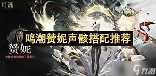 鸣潮赞妮声骸搭配攻略:如何选择最佳队伍阵容与技能组合