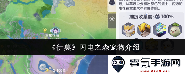《伊莫》闪电之森的全新宠物详细介绍及培养攻略