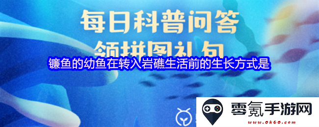 镰鱼幼鱼在转入岩礁栖息环境之前的生长方式及其适应性分析