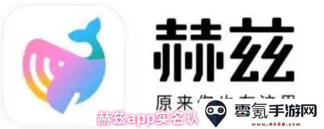 赫兹App用户实名认证步骤详细解析与操作指南