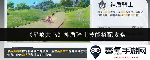 《星痕共鸣》神盾骑士技能组合与搭配策略全解析