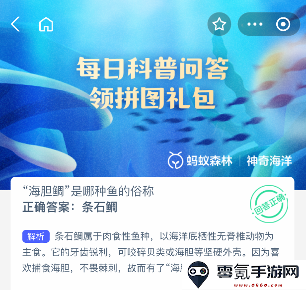 海胆鲷的另一种称呼是什么?探寻它背后所代表的鱼类信息