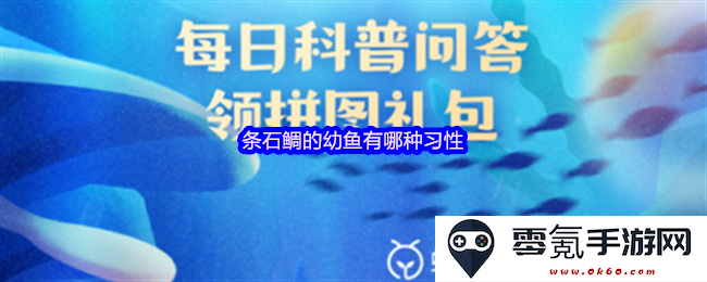 条石鲷幼鱼的生活习性与栖息环境有哪些值得关注的特点