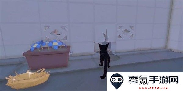 小猫咪大城市乌龟帽怎么收集