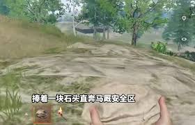 失控进化标准模式的玩法解析与技巧分享，怎么玩才能快速上手和提高胜率