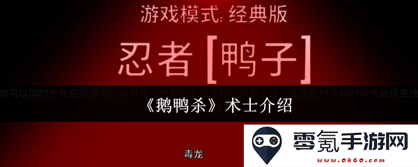 《鹅鸭杀》中的术士角色详细解析与游戏机制介绍
