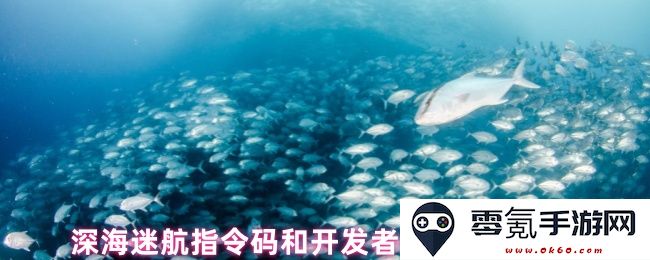深海迷航指令代码及开发者模式详细使用指南与技巧分享