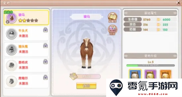 《飞飞重逢》宠物获取途径及培养攻略