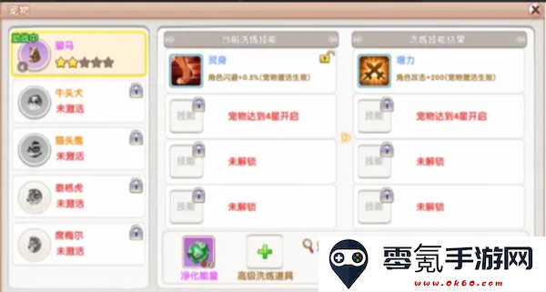 《飞飞重逢》宠物获取途径及培养攻略
