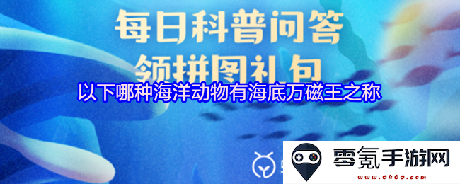 你知道哪种海洋生物被誉为“海底的万磁王”吗？