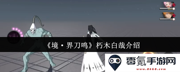 《境·界刀鸣》中的朽木白哉角色解析与背景故事详解