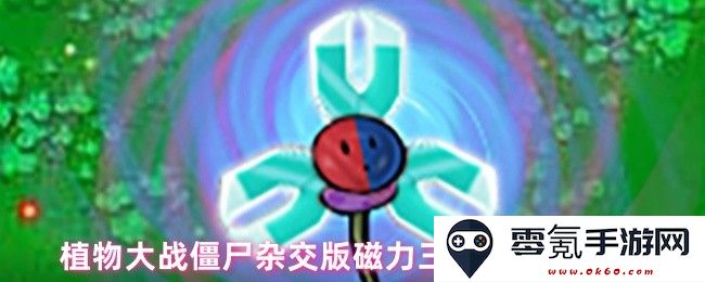 植物大战僵尸混合版磁力三叶草详细属性分析与玩法技巧介绍