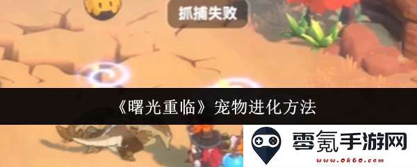 《曙光重临》中的宠物进化技巧与方法详解，助你快速提升宠物实力