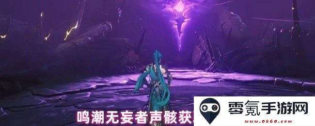 鸣潮无妄者声骸获取技巧与方法详解，助你快速入手珍稀装备