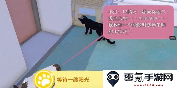 小猫咪大城市快速午睡获得方法