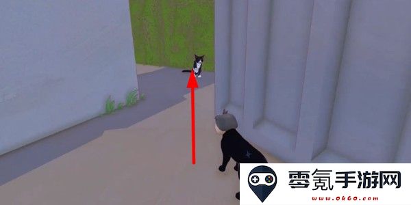 小猫咪大城市日常美容动作获取方式