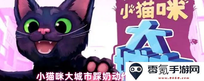 如何在大城市中掌握小猫咪踩奶的可爱动作技巧和方法