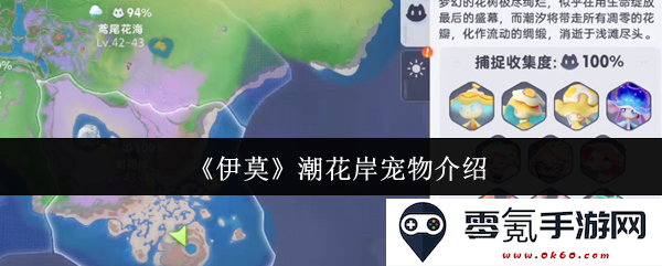 《伊莫》潮花岸的宠物们：可爱生灵的详细介绍与养护指南