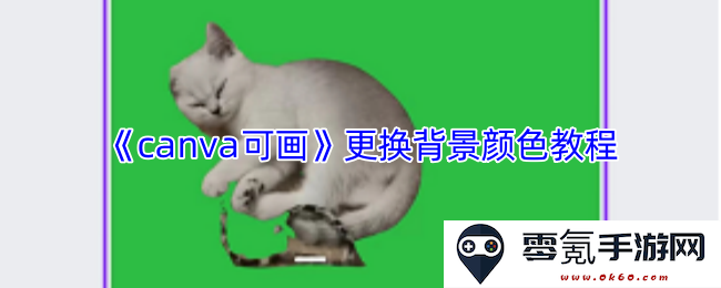 《canva可画》轻松更换背景色的详细操作步骤与技巧分享