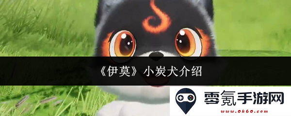 《伊莫》小炭犬的详细介绍与饲养注意事项分享