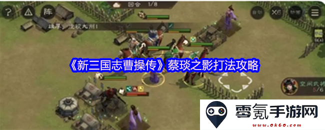 《新三国志曹操传》蔡琰角色打法攻略技巧和实用建议分享