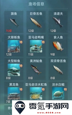 《大航海时代：传说》钓鱼玩法攻略