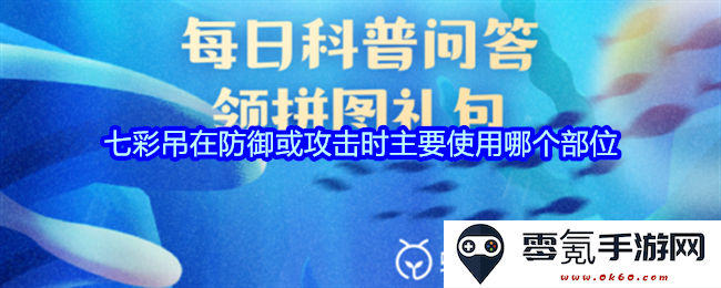 在进行防御或攻击时，七彩吊主要依赖哪个身体部位来发挥其有效作用
