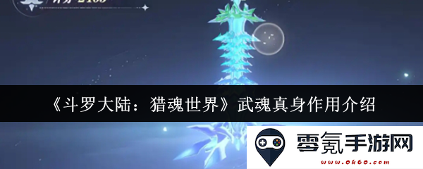 《斗罗大陆：猎魂世界》中武魂真身的功能及其在战斗中的重要性解析