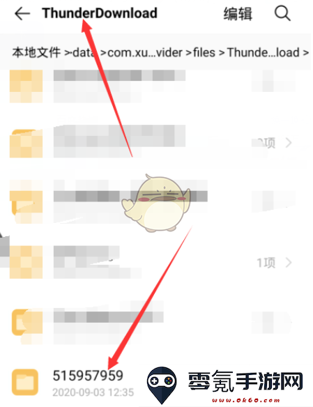 手机迅雷下载的文件在哪个目录