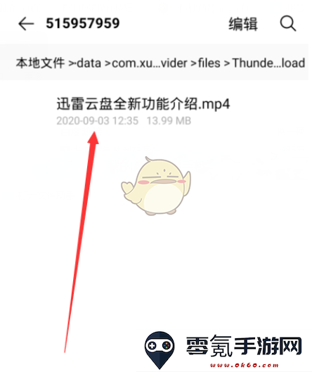 手机迅雷下载的文件在哪个目录