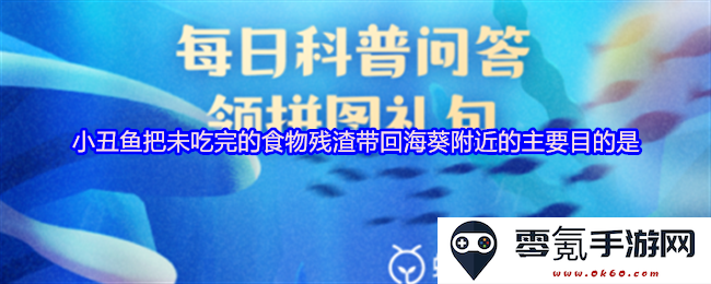 小丑鱼为何将未食完的食物残渣带回海葵附近的主要原因是什么