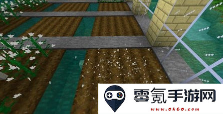生存战争2模组安装器仙人掌工艺中文版
