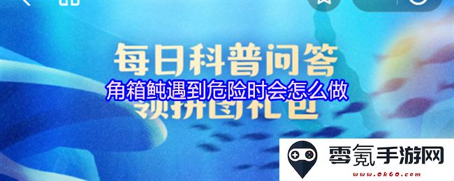 当角箱鲀面临危险时，它会采取哪些自我保护的行为和策略
