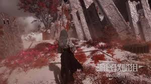 光与影33号远征队如何在绯红森林中进行深入探索与发现